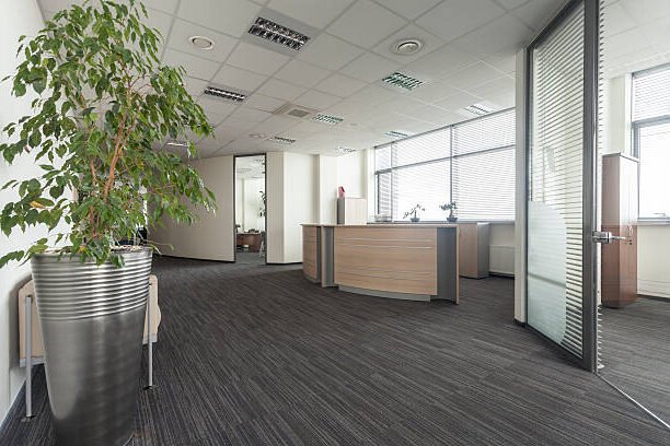 Commercial Tenant Improvements Guide for Landlords & Property Managers